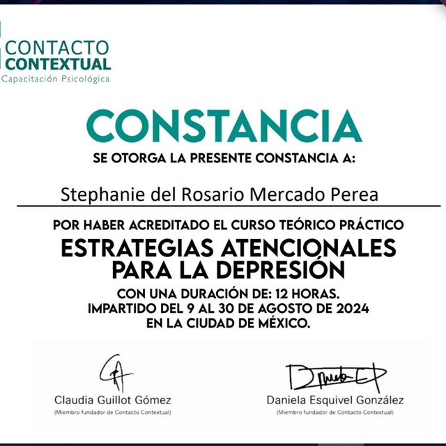 Ampliar imagen: certificate 13