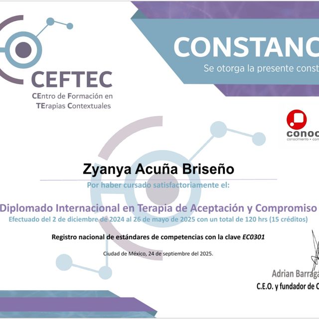 Ampliar imagen: certificate 2