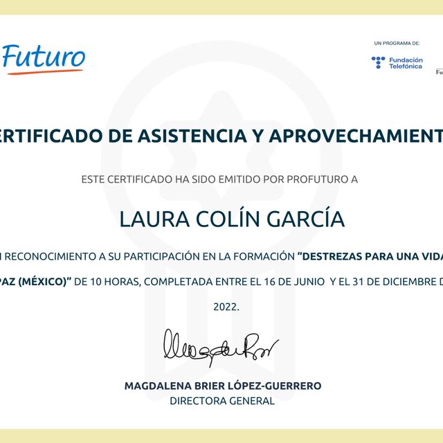 Ampliar imagen: certificate 2