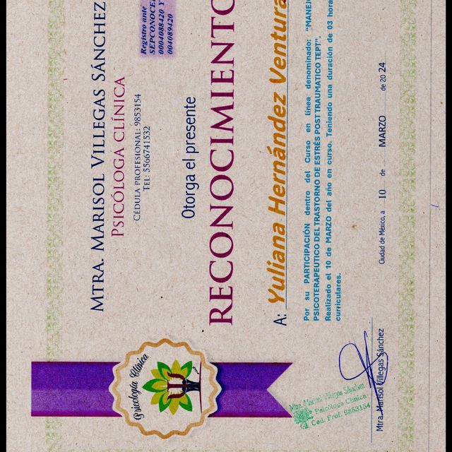 Ampliar imagen: certificate 20