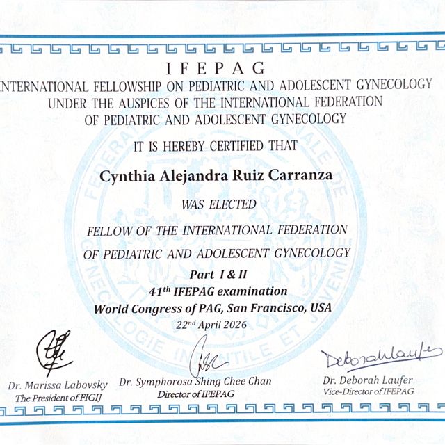 Ampliar imagen: certificate 4