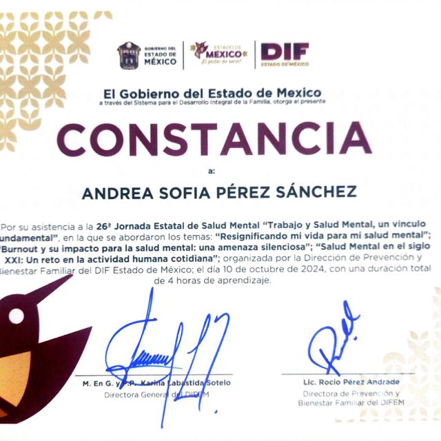 Ampliar imagen: certificate 1