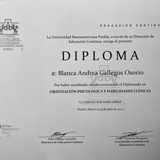 Ampliar imagen: certificate 2
