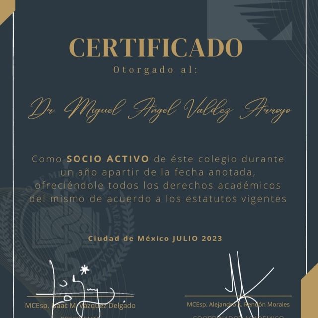 Ampliar imagen: certificate 6