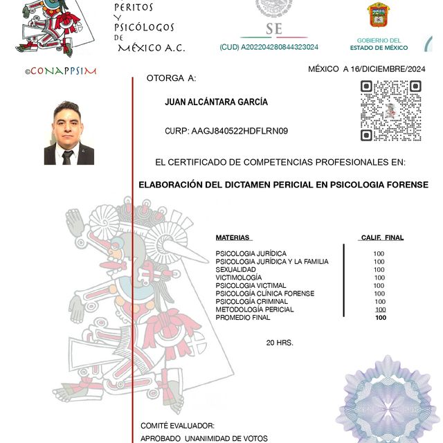 Ampliar imagen: certificate 9