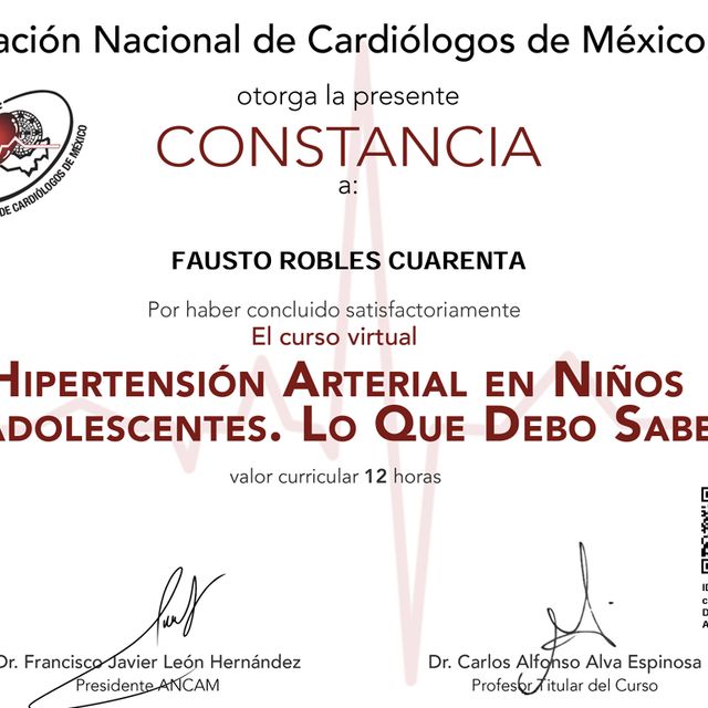 Ampliar imagen: certificate 39