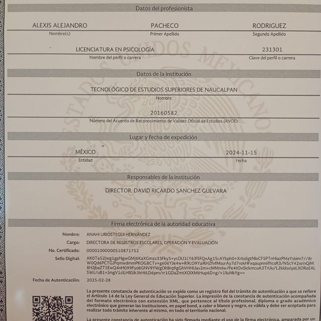 Ampliar imagen: certificate 3