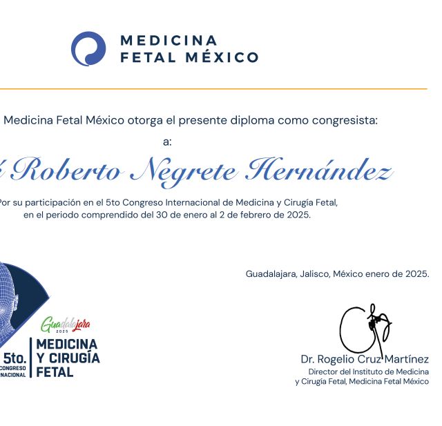 Ampliar imagen: certificate 1