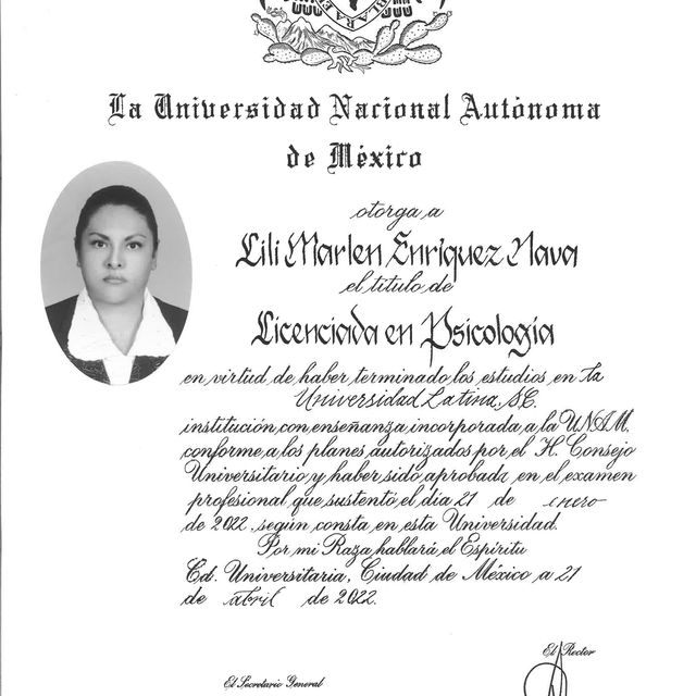 Ampliar imagen: certificate 2