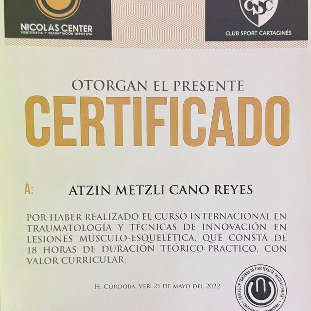 Ampliar imagen: certificate 8