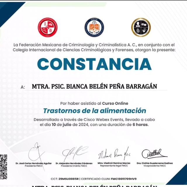 Ampliar imagen: certificate 25