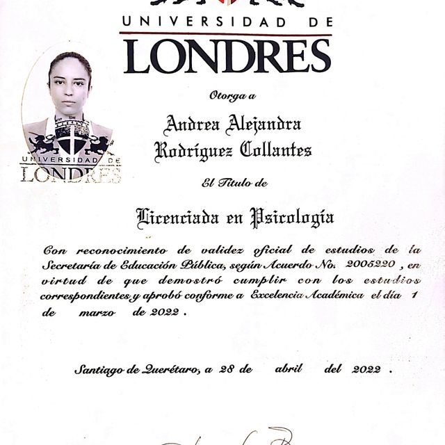 Ampliar imagen: certificate 1