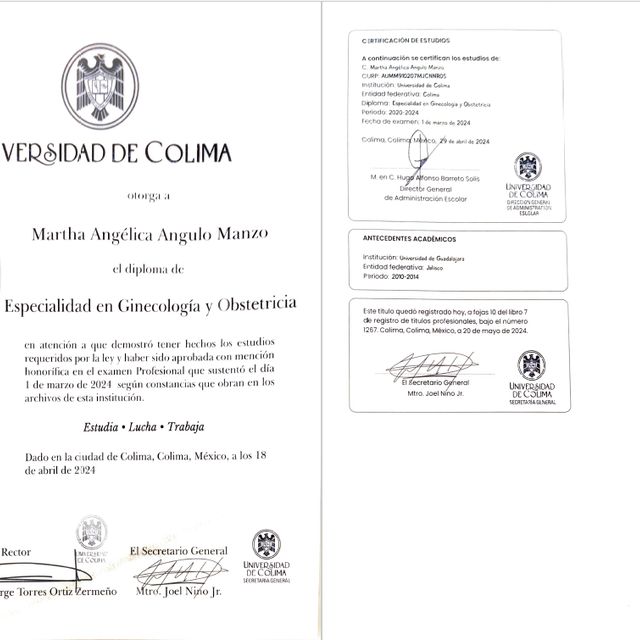 Ampliar imagen: certificate 2
