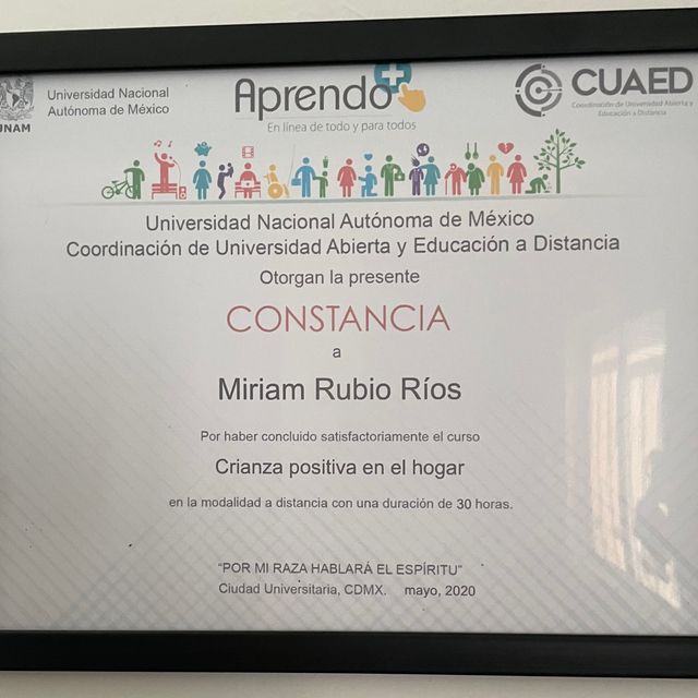Ampliar imagen: certificate 5
