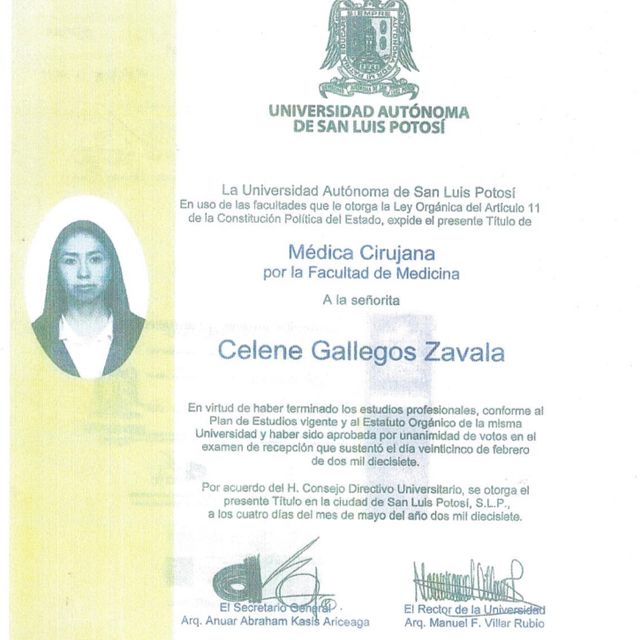 Ampliar imagen: certificate 1