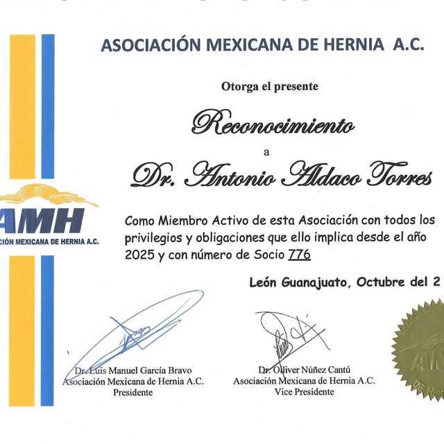 Ampliar imagen: certificate 5