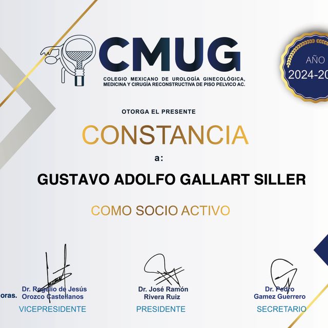 Ampliar imagen: certificate 6