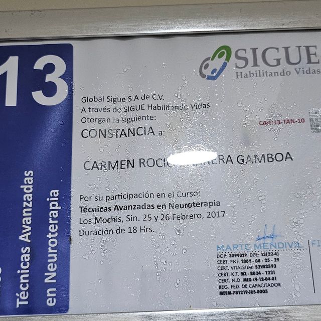 Ampliar imagen: certificate 3