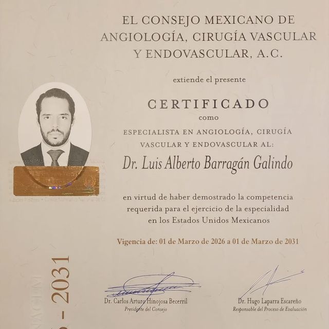 Ampliar imagen: certificate 1