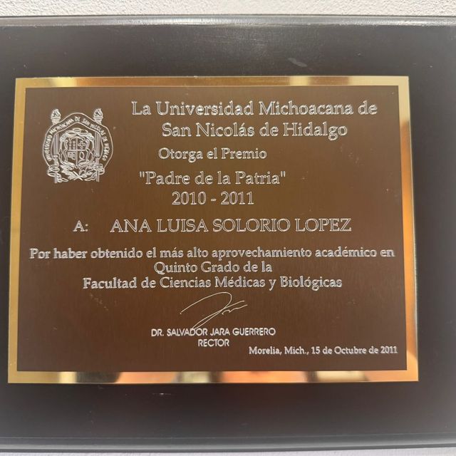 Ampliar imagen: certificate 5