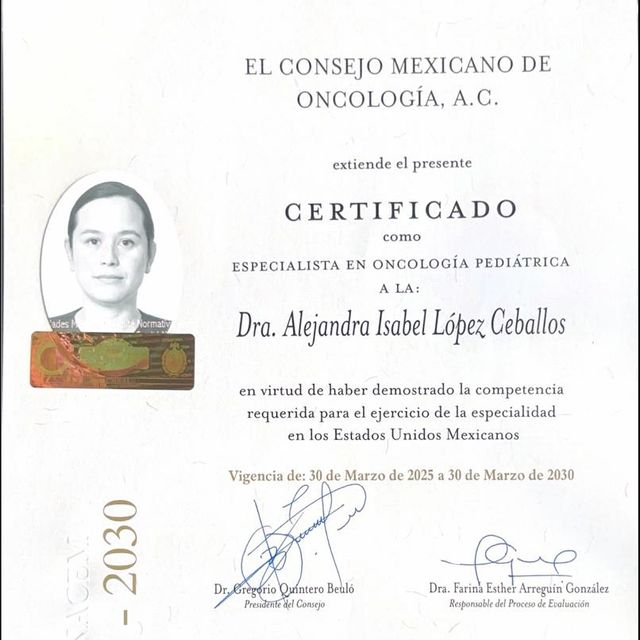 Ampliar imagen: certificate 2