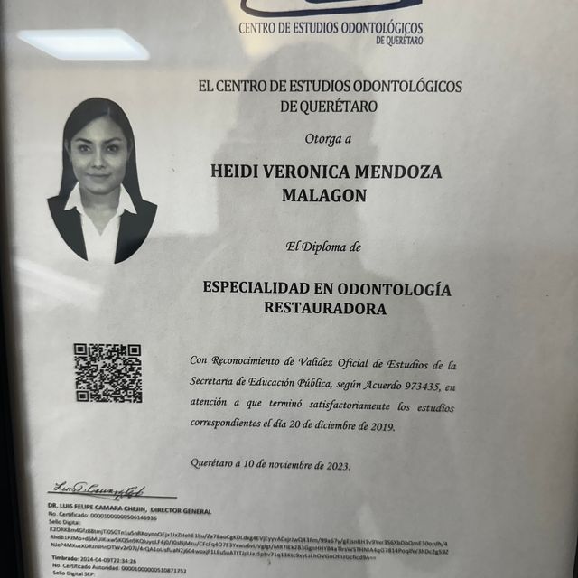 Ampliar imagen: certificate 7