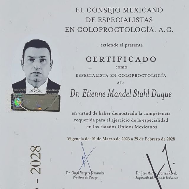 Ampliar imagen: certificate 1