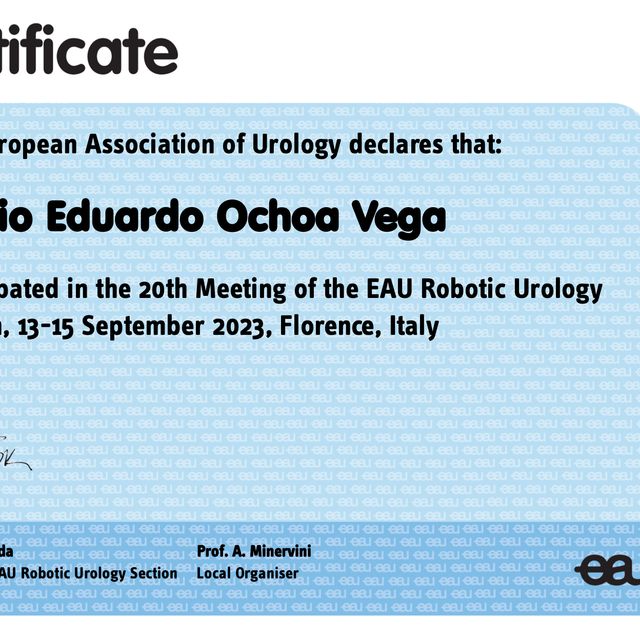 Ampliar imagen: certificate 3