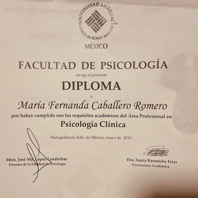 Ampliar imagen: certificate 1