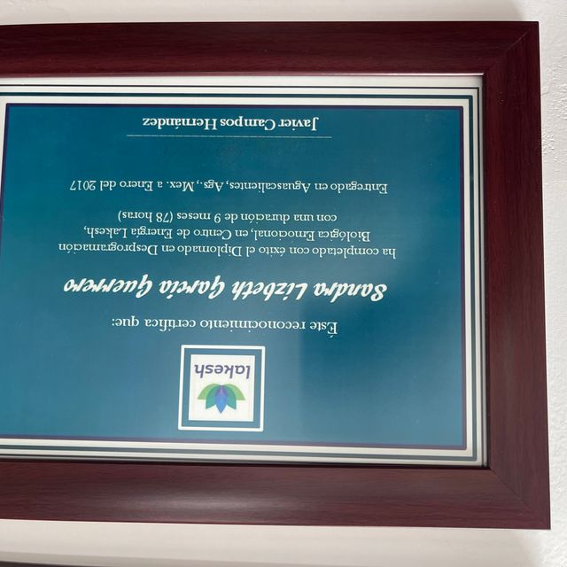 Ampliar imagen: certificate 4