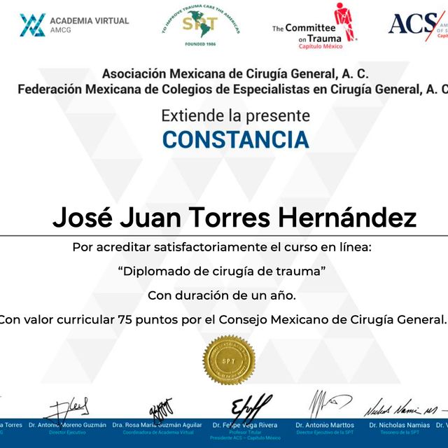 Ampliar imagen: certificate 4