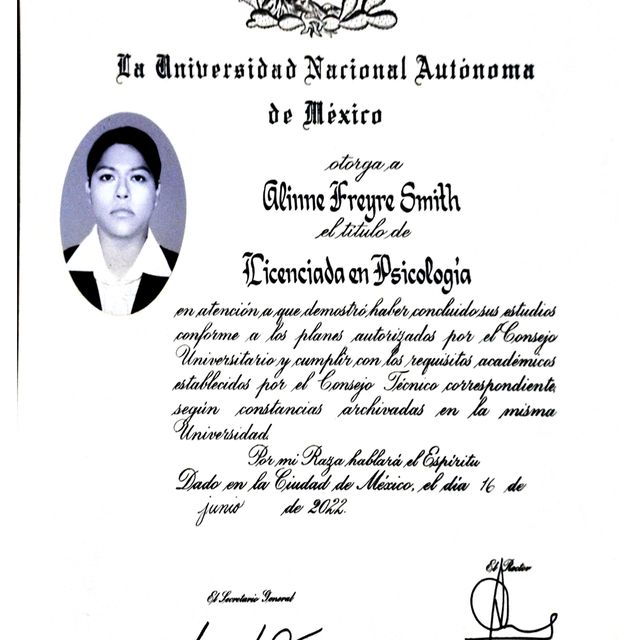 Ampliar imagen: certificate 2