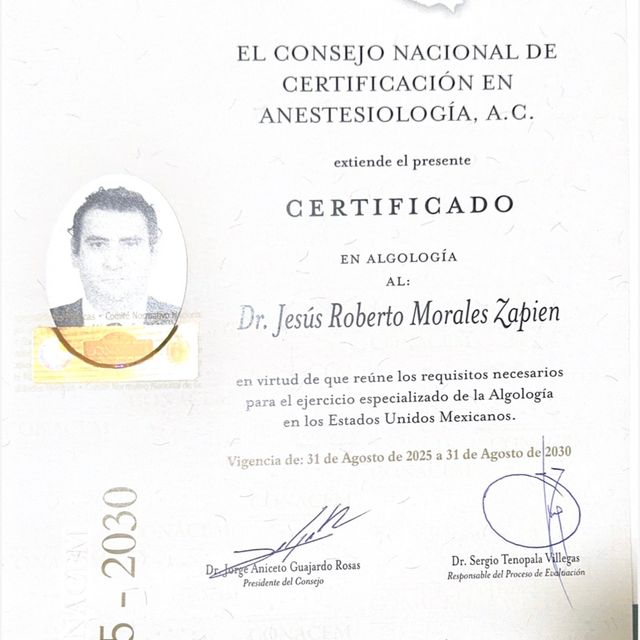 Ampliar imagen: certificate 2
