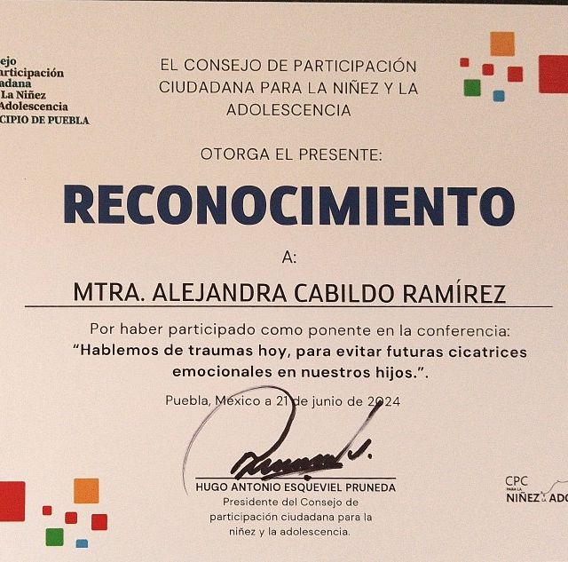 Ampliar imagen: certificate 7