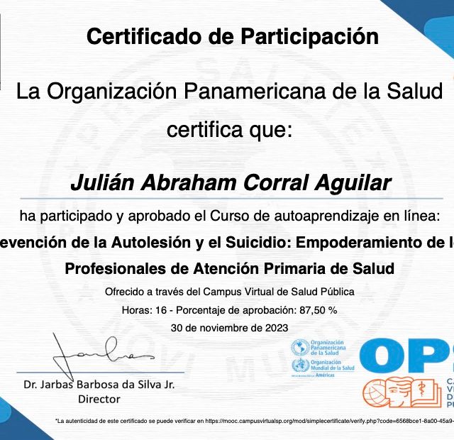 Ampliar imagen: certificate 6