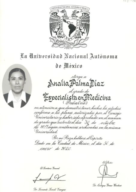 Ampliar imagen: certificate 2