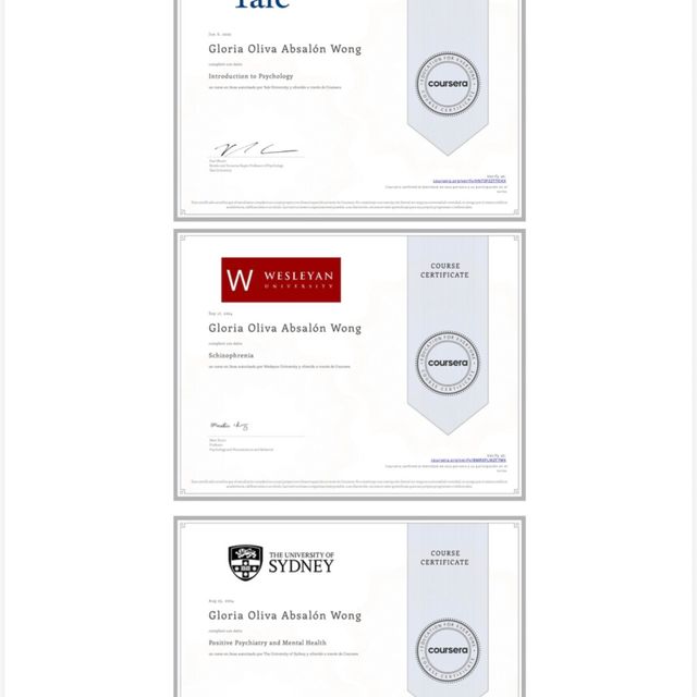 Ampliar imagen: certificate 3
