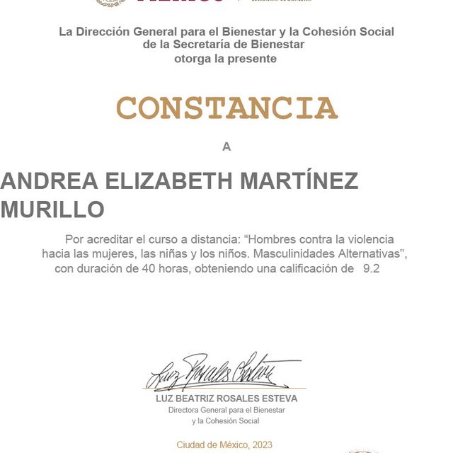 Ampliar imagen: certificate 17