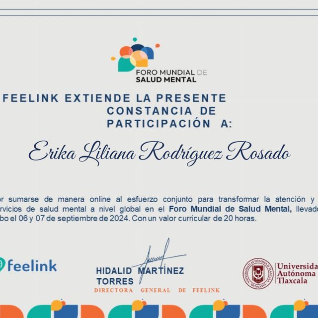 Ampliar imagen: certificate 13