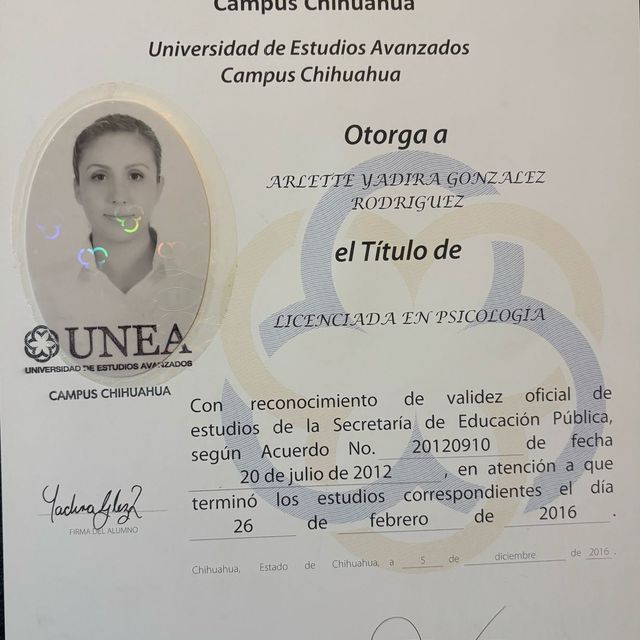 Ampliar imagen: certificate 1