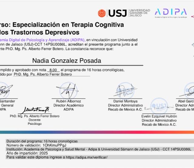 Ampliar imagen: certificate 5