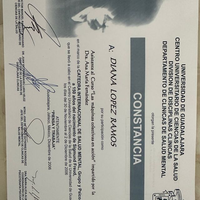 Ampliar imagen: certificate 9