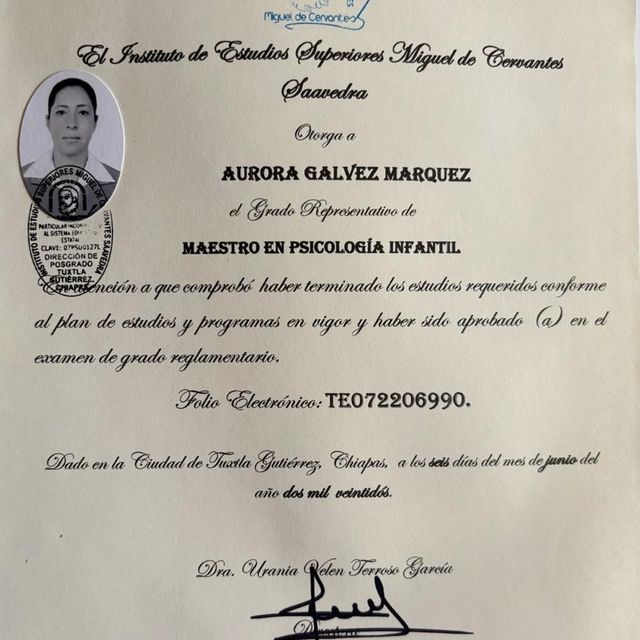 Ampliar imagen: certificate 1