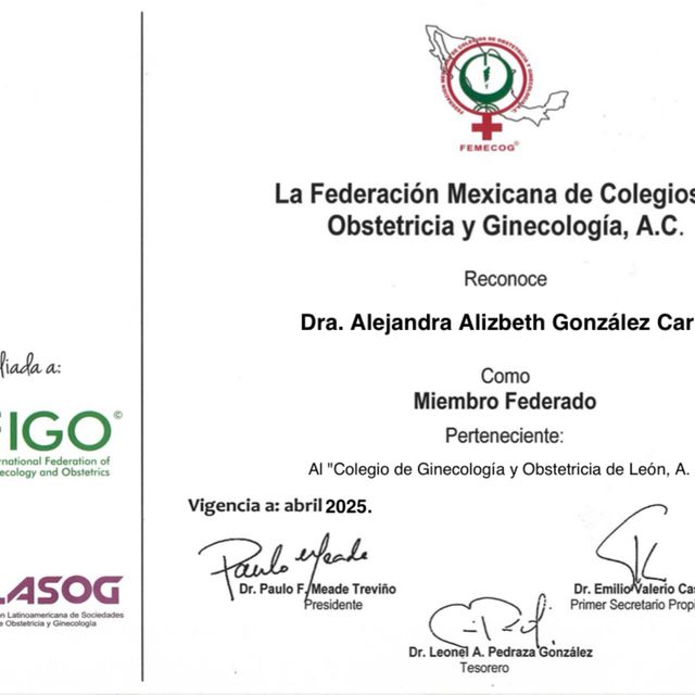 Ampliar imagen: certificate 36