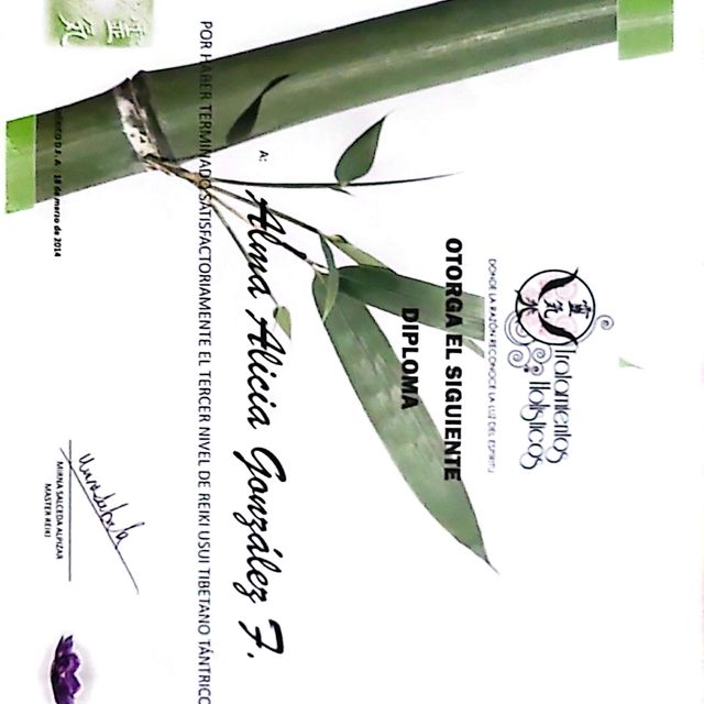 Ampliar imagen: certificate 2