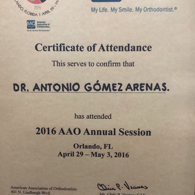 Ampliar imagen: certificate 4