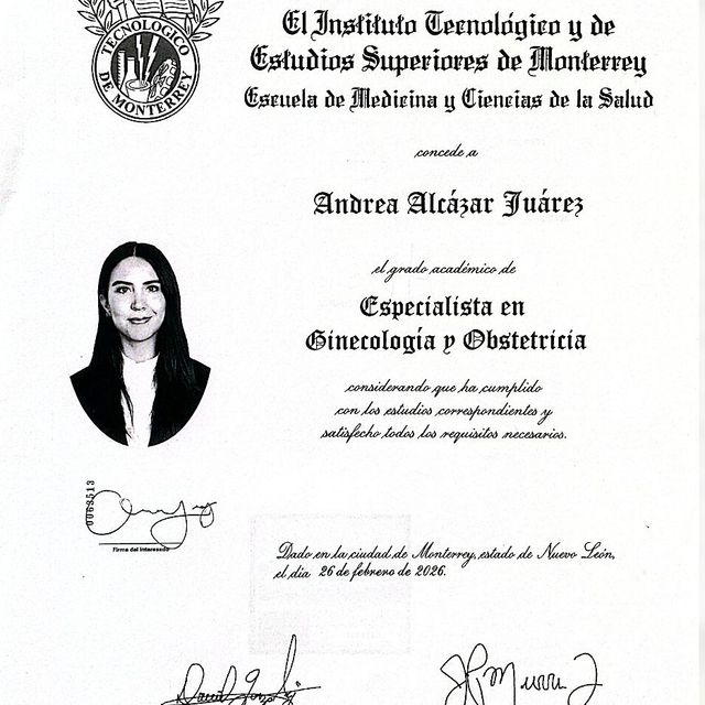 Ampliar imagen: certificate 2