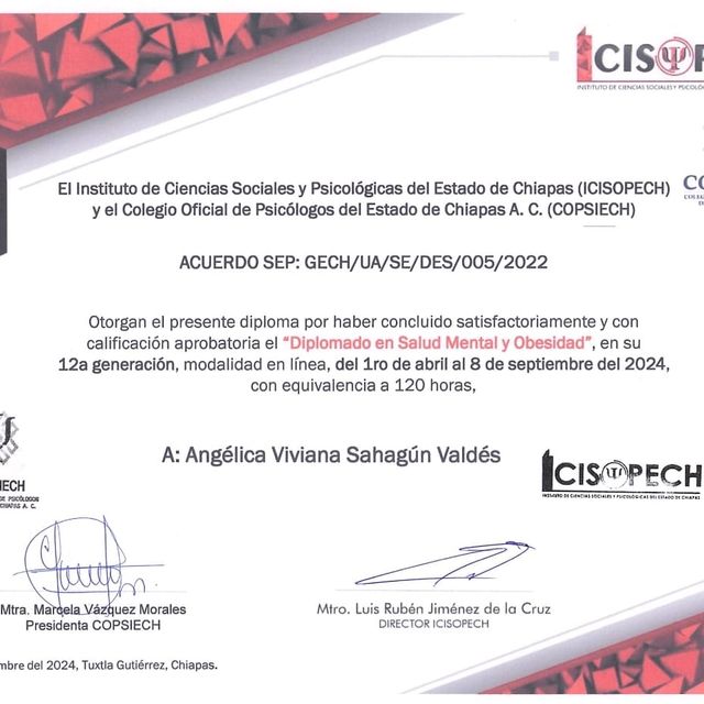 Ampliar imagen: certificate 6