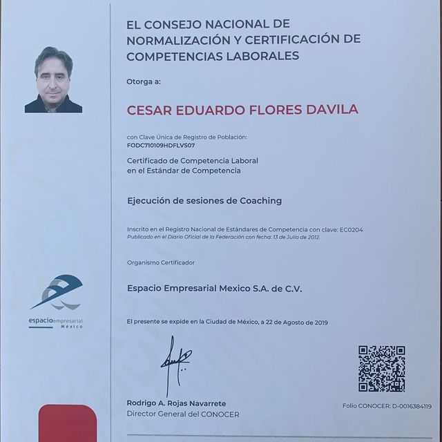 Ampliar imagen: certificate 2