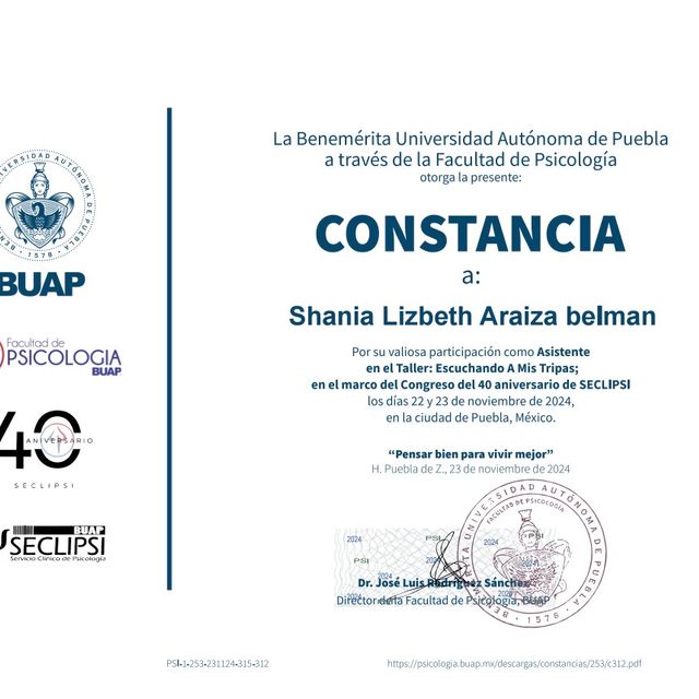 Ampliar imagen: certificate 2